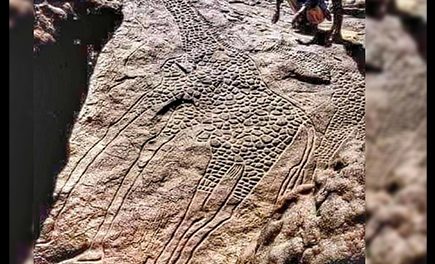 ১০,০০০ বছরের পুরানো জিরাফ
