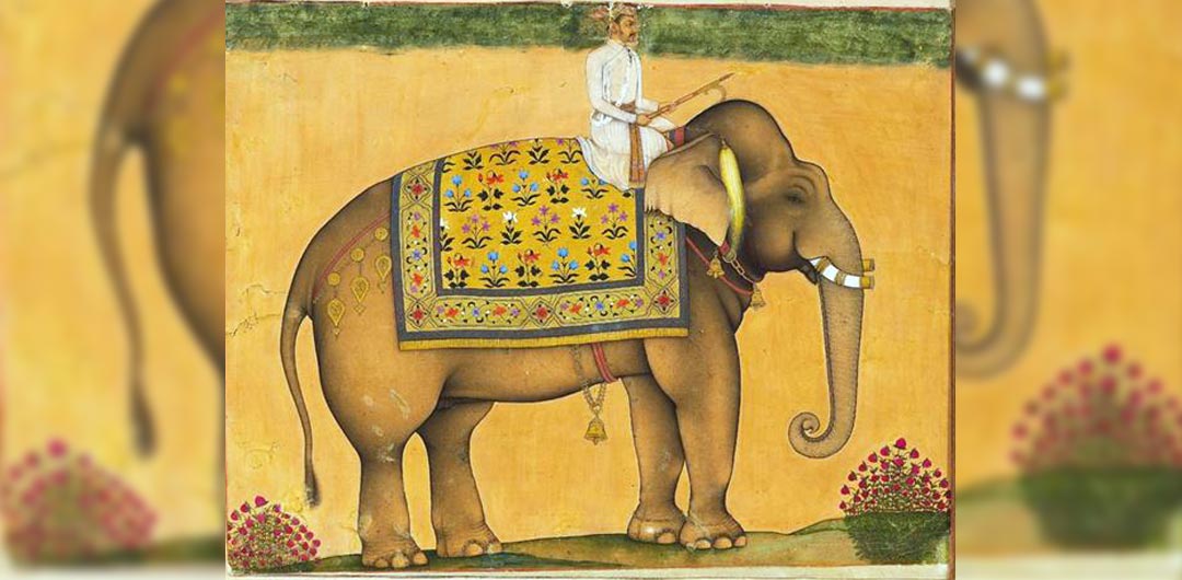 মুঘলদের হাতি-প্রীতি এবং সম্রাট জাহাঙ্গীরের সাদা হাতি অর্জনের ব্যর্থতার গল্প, Stay Curioussis