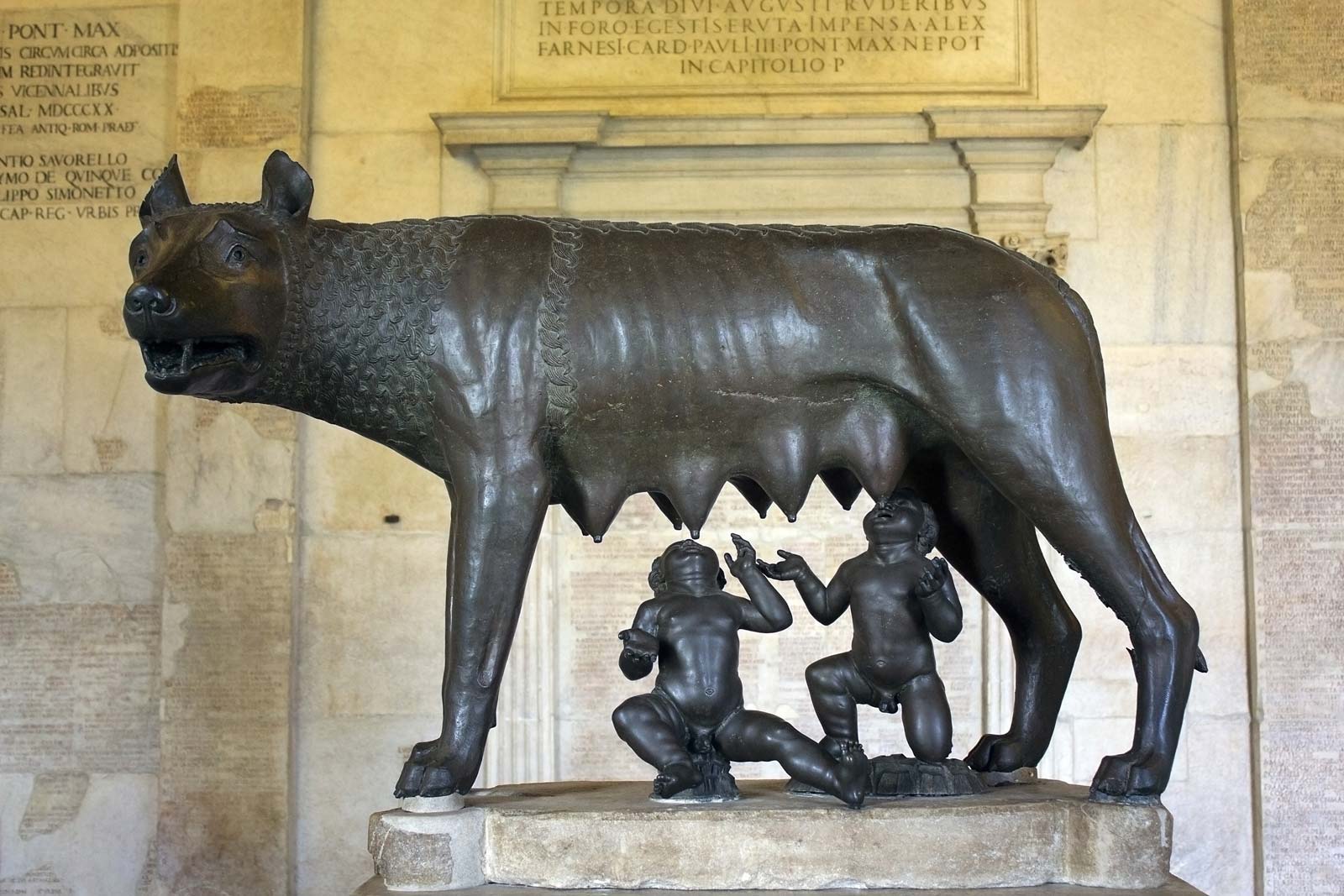 Founders Romulus And Remus Rome Wolf Foster, Stay Curioussis