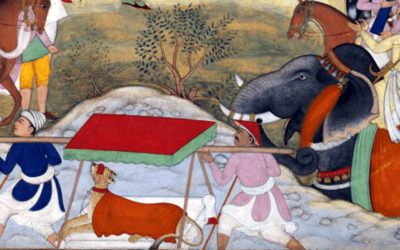 সম্রাট আকবর ও তাঁর প্রিয় প্রাণীরা: উট থেকে চিতা পর্যন্ত ভালোবাসা ও শিক্ষার গল্প