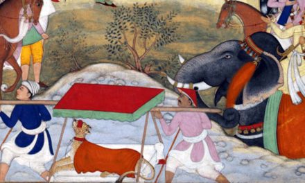 সম্রাট আকবর ও তাঁর প্রিয় প্রাণীরা: উট থেকে চিতা পর্যন্ত ভালোবাসা ও শিক্ষার গল্প