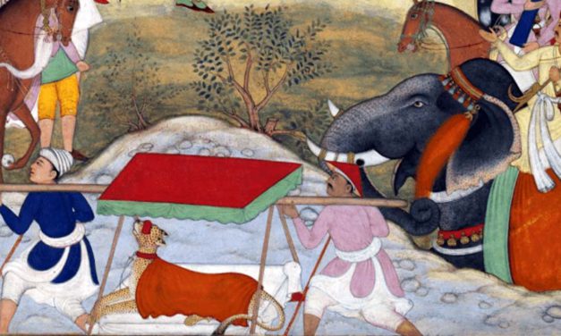 সম্রাট আকবর ও তাঁর প্রিয় প্রাণীরা: উট থেকে চিতা পর্যন্ত ভালোবাসা ও শিক্ষার গল্প