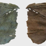 স্কিথিয়ানদের মানব চামড়া ব্যবহার: ইতিহাস না অতিরঞ্জন—হেরোডোটাস কি সত্য বলেছিলেন?